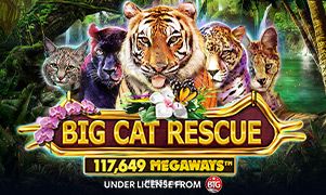 Imagem do jogo Big Cat Rescue Megaways disponível no site ff555